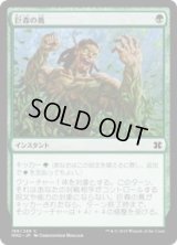 巨森の蔦/Vines of Vastwood (MM2)《Foil》