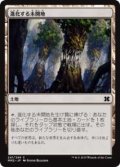 進化する未開地/Evolving Wilds (MM2)《Foil》