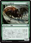 アラクナスの紡ぎ手/Arachnus Spinner (MM3)《Foil》