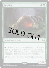 漁る軟泥/Scavenging Ooze (MM3)《Foil》