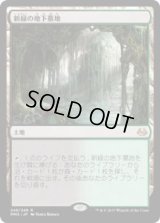 新緑の地下墓地/Verdant Catacombs (MM3)《Foil》