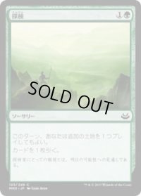 探検/Explore (MM3)《Foil》