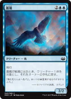 画像1: 霧鴉/Mist Raven (MM3)《Foil》