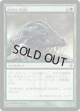 内にいる獣/Beast Within (NPH)《Foil》