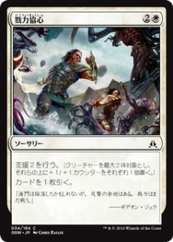 画像1: 戮力協心/Shoulder to Shoulder (OGW)《Foil》