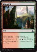 森林の地溝/Timber Gorge (OGW)《Foil》