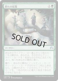 群れの結集/Gather the Pack (ORI)《Foil》