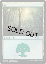 森/Forest (プロモパック)