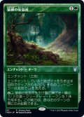 狼柳の安息所/Wolfwillow Haven (プロモパック)