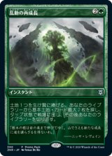 乱動の再成長/Roiling Regrowth (プロモパック)