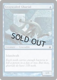 灰鱗のガリアル/Grayscaled Gharial (RAV)　《Foil》