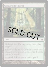 ゴルガリの腐敗農場/Golgari Rot Farm (RAV)　《Foil》
