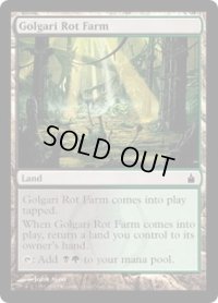 ゴルガリの腐敗農場/Golgari Rot Farm (RAV)　《Foil》