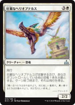 画像1: 壮麗なヘリオプテルス/Majestic Heliopterus (RIX)