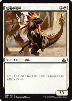 画像1: 猛竜の相棒/Raptor Companion (RIX)《Foil》