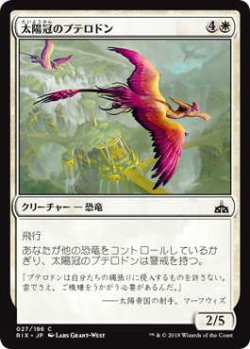 画像1: 太陽冠のプテロドン/Sun-Crested Pterodon (RIX)