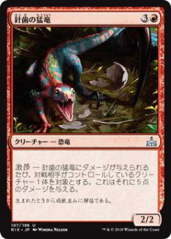 画像1: 針歯の猛竜/Needletooth Raptor (RIX)