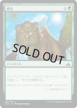 帰化/Naturalize (RIX)《Foil》