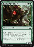鬱蒼たるアルマサウルス/Overgrown Armasaur (RIX)
