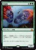 万猛竜/Polyraptor (RIX)