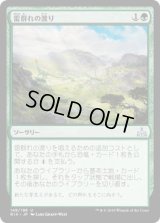 雷群れの渡り/Thunderherd Migration (RIX)《Foil》