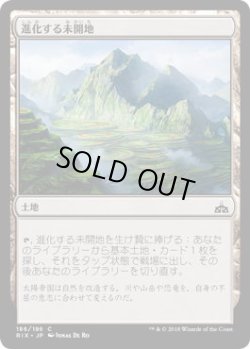 画像1: 進化する未開地/Evolving Wilds (RIX)《Foil》