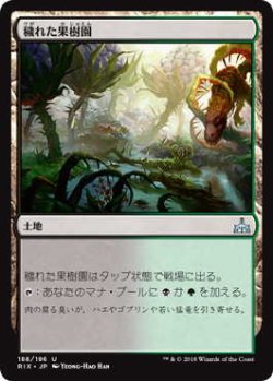 画像1: 穢れた果樹園/Foul Orchard (RIX)《Foil》