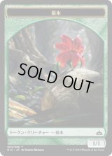 苗木/Saproling (RIX)