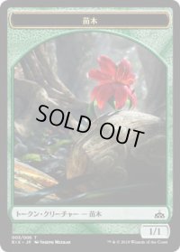 苗木/Saproling (RIX)
