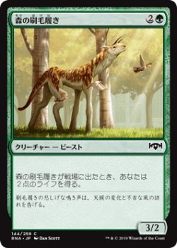 画像1: 森の刷毛履き/Sylvan Brushstrider (RNA)