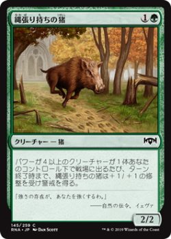 画像1: 縄張り持ちの猪/Territorial Boar (RNA)