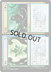 孵化+不和/Incubation+Incongruity (RNA)《Foil》
