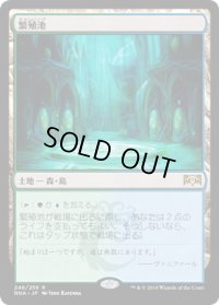 繁殖池/Breeding Pool (RNA)