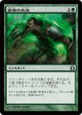 蛮族の血気/Savage Surge (RTR)《Foil》