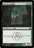 ゴルガリの長脚/Golgari Longlegs (RTR)《Foil》