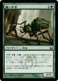 蠢く甲虫/Drudge Beetle (RTR)《Foil》