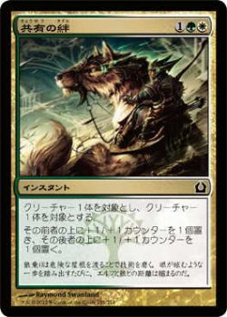 画像1: 共有の絆/Common Bond (RTR)《Foil》