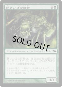 野リンゴの群勢/Crabapple Cohort (SHM)《Foil》