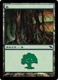 森/Forest【Ver.1】(SHM)《Foil》