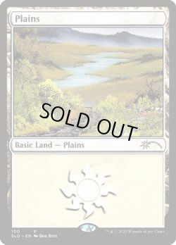 画像1: 平地/Plains (100) (SLD)