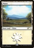 平地/Plains (101) (SLD)《Foil》