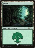 森/Forest (108) (SLD)《Foil》