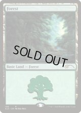 森/Forest (108) (SLD)