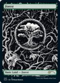 森/Forest (243) (SLD)《Foil》