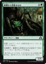 巣網から見張るもの/Watcher in the Web (SOI)《Foil》