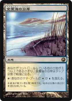 画像1: 金属海の沿岸/Seachrome Coast (SOM)《Foil》