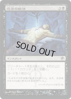 画像1: 感染の賦活/Instill Infection (SOM)《Foil》