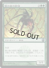 酸の巣の蜘蛛/Acid Web Spider (SOM)《Foil》