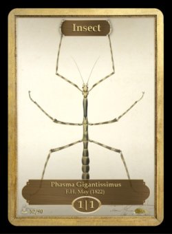 画像1: 昆虫/Insect (CLASSIC ART TOKEN MARBLE)《Premium》