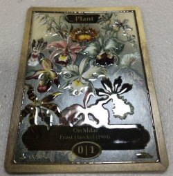 画像2: 植物/Plant (CLASSIC ART TOKEN MARBLE)《Premium》